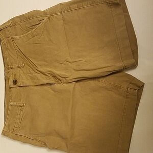 American Eagle Shorts.